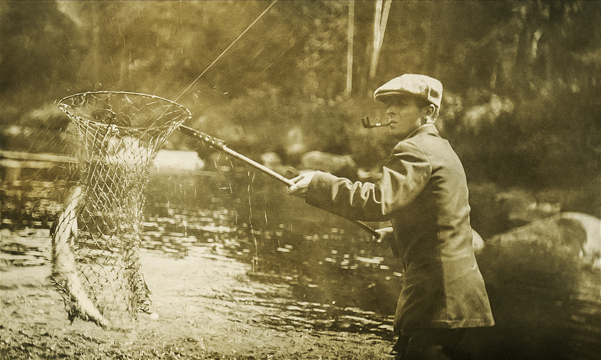 George Frederick Clarke Netting Salmon 1916