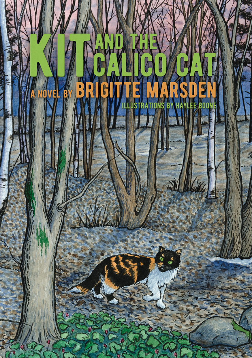 Kit and the Calico Cat