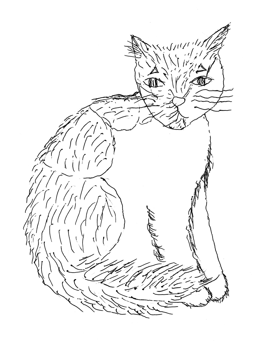 Haylee Boone Illustration